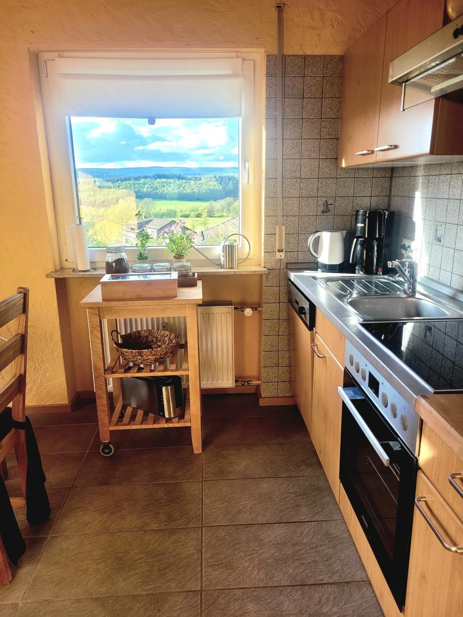 Ferienhaus Wilder Hunsrueck Schmissberg Kültér fotó